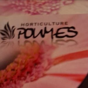 EARL POUMÈS 