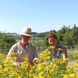Piquemouche Plantes aromatiques #0