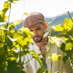 Domaine de Bancel #0