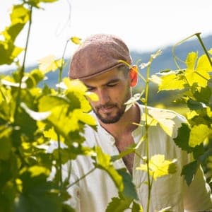 Domaine de Bancel
