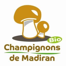 Ferme aux champignons #8