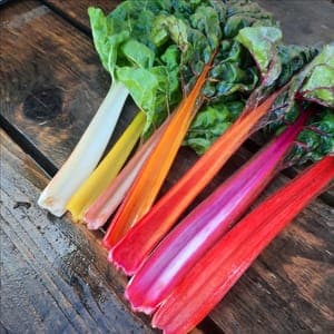 Blettes de couleurs