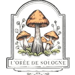 l'orée de Sologne  #1