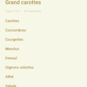 Grand panier carottes