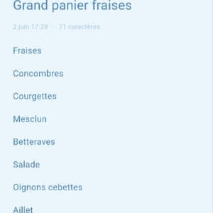 Grand panier fraise