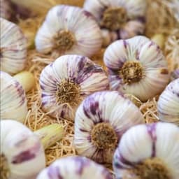 Les Jardins d'Enguillot #4