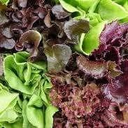 Mesclun  