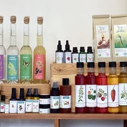 Piquemouche Plantes aromatiques #3