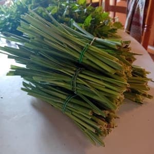 Citronnelle fraîche