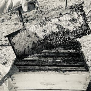 L'exploitation #0
