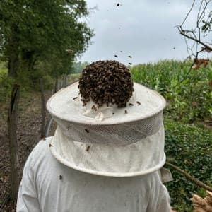 L'exploitation #1
