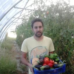 Les Légumes d'Autan #0