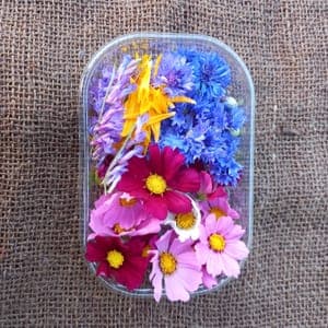 Fleurs comestibles