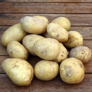 Pomme de terre nouvelle