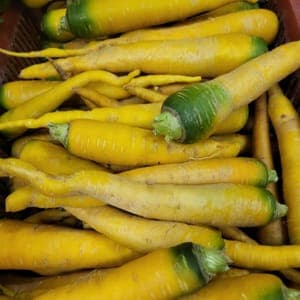 Carottes jaunes 500g