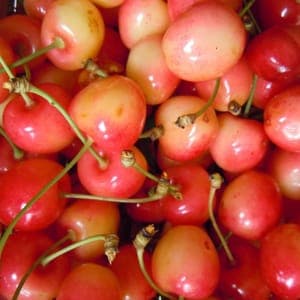 11 - Fruits