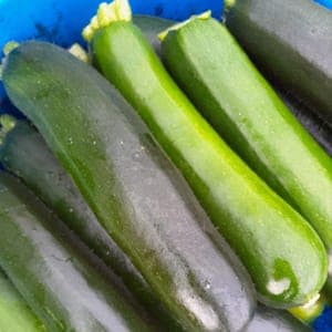 Courgette PROMO 2KG