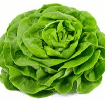 Salade