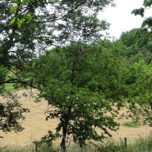 La Ferme des Peupliers Noirs