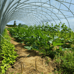 Ferme Du Champ Gaillard #4