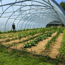 Ferme Du Champ Gaillard #5