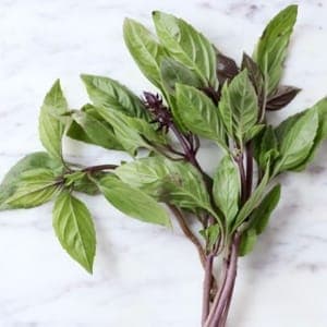 Basilic thaï botte