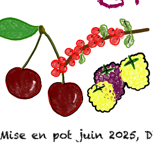 Confiture cerises framboises groseilles