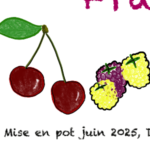 Confiture cerises framboises
