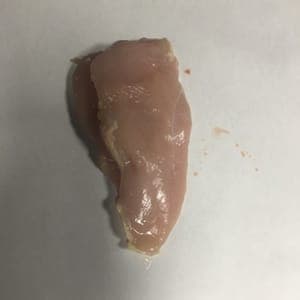 Filet poulet bio