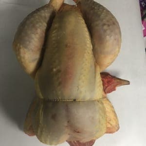 Volaille /Poulet
