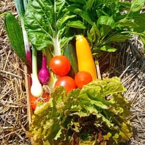 Panier