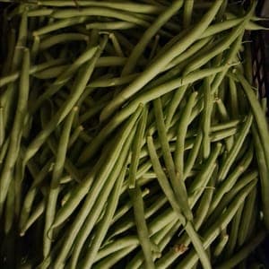 Nouveaux Haricots verts Cobra