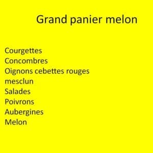 Grand panier melon