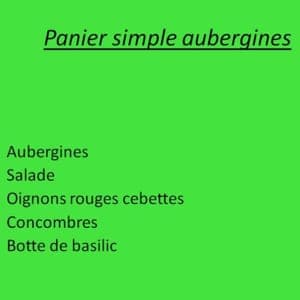 Panier simple  aubergines