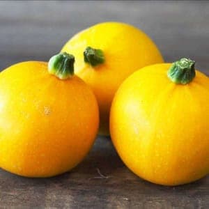 Courgettes  jaunes rondes