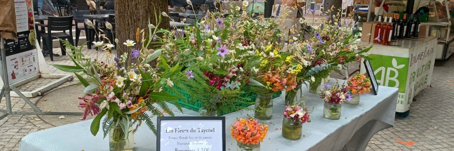 Bannière de EURL LES FLEURS DU TAYCHEL 
