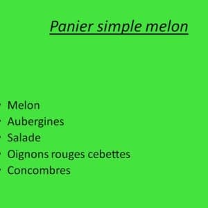 Panier simple  melon
