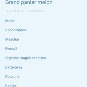 Grand panier  melon