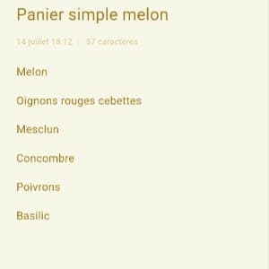 Panier simple  melon