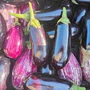 AUBERGINE