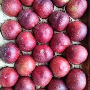 Nectarine jaune