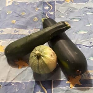 Courgette grosses diverses promotion par 5kg ( à vos conserves, flans, gratins...) (OUVRIR L'ARTICLE POUR VOIR LA FICHE RECETTE