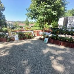 Jardin des Casseilles #1