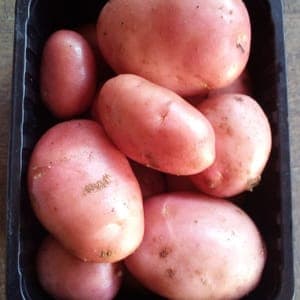 Pomme de terre Valery