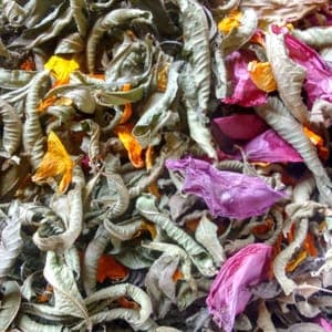 Infusion verveine citronnée/pavot de Californie/coquelicot