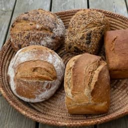GAEC l'Appel du Grain #8