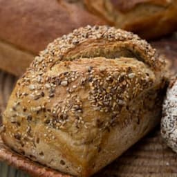 GAEC l'Appel du Grain #8