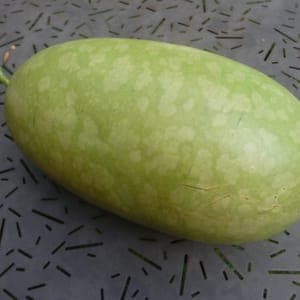 Pastèque à confire
