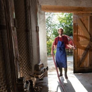 DOMAINE JEAN DAVID