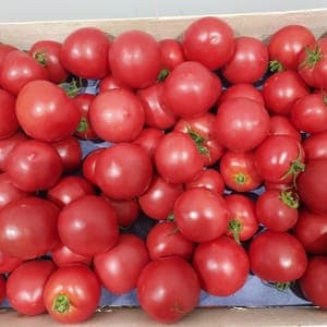 Tomate ronde - Colis de 10 kg